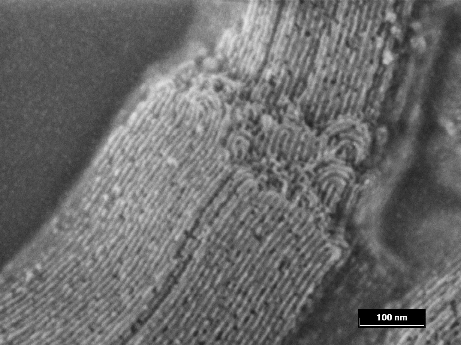 Native-State Imaging Without Coating