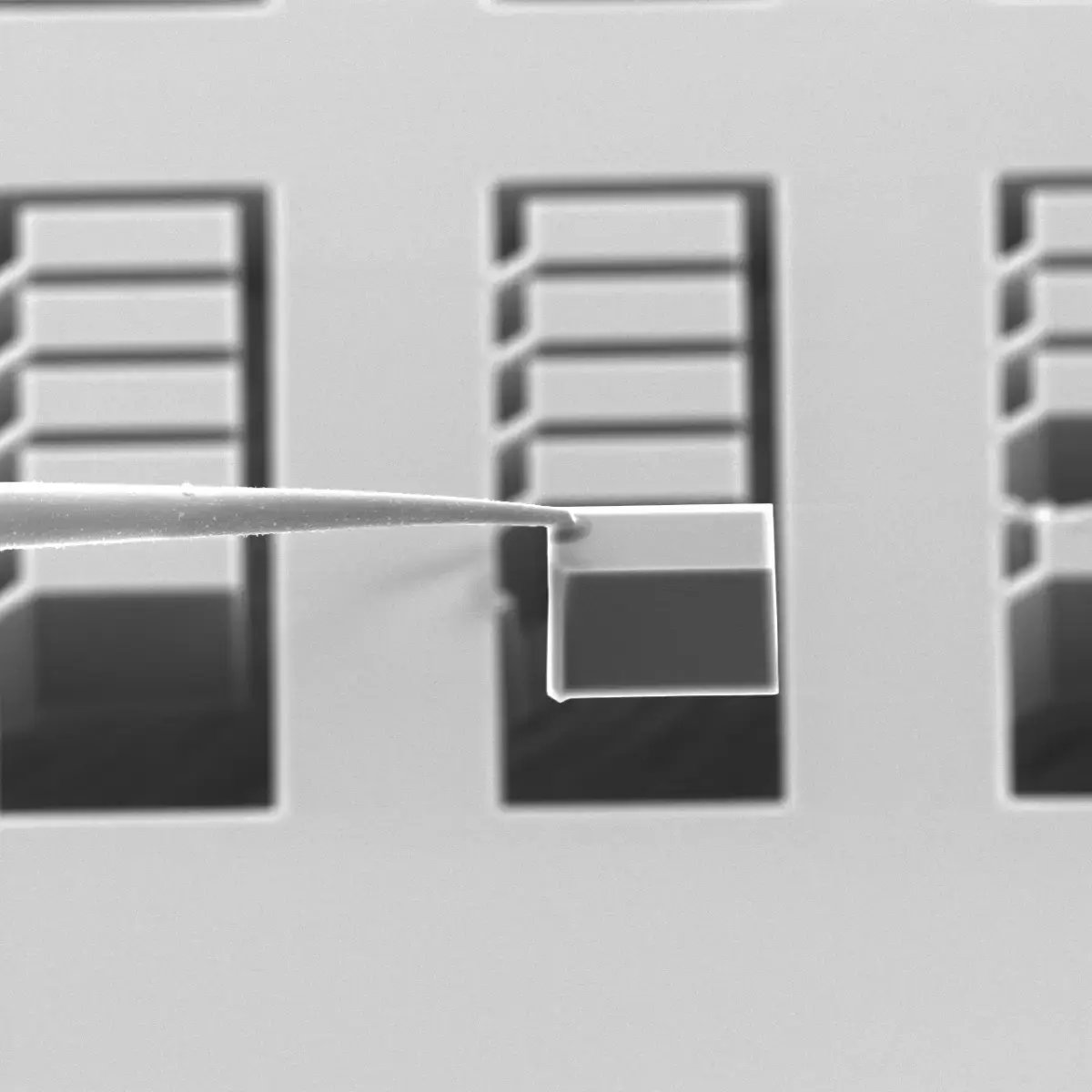 01_Mask extracted from the pre-fabricated sample