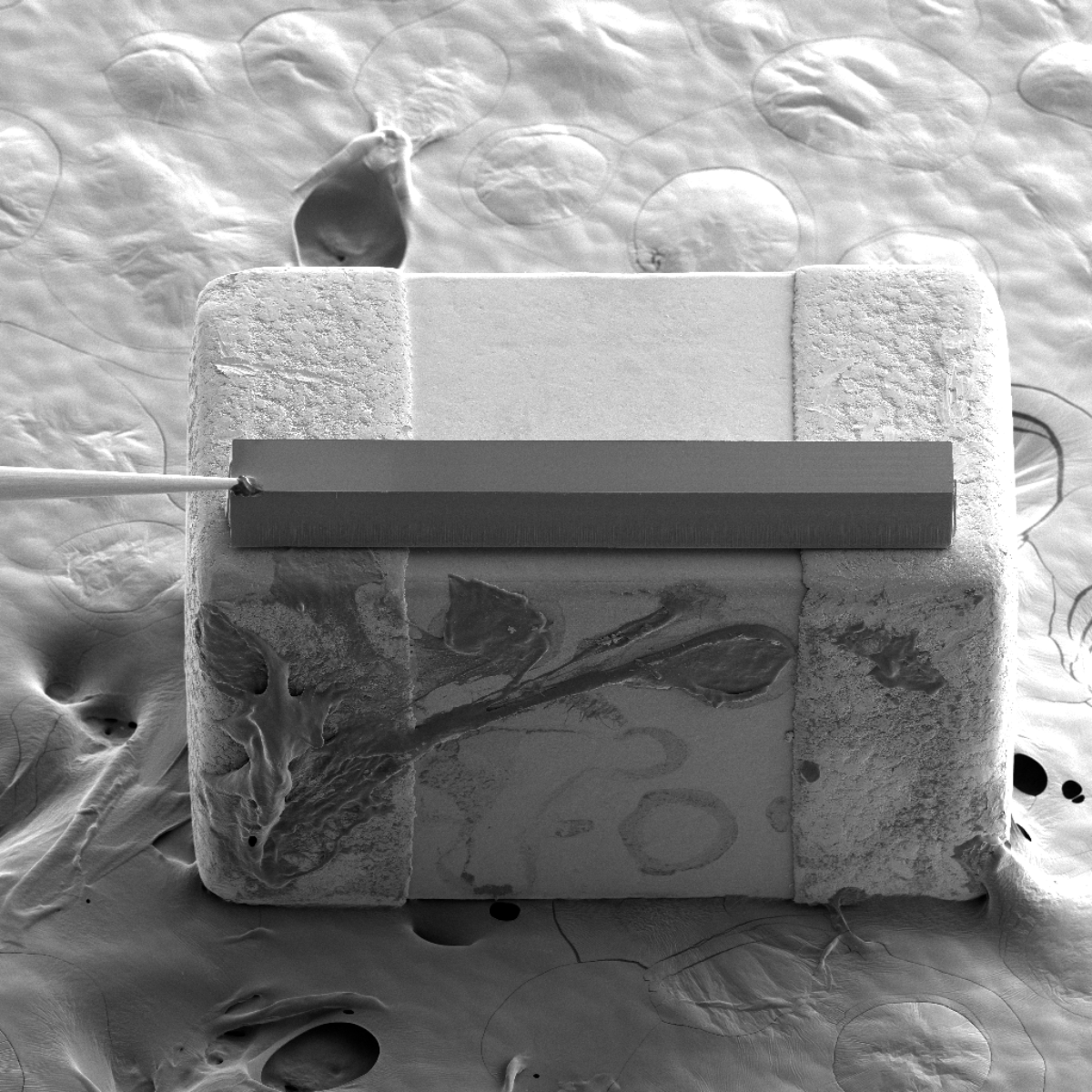 02_1mm Si mask placed on the MLCC sample