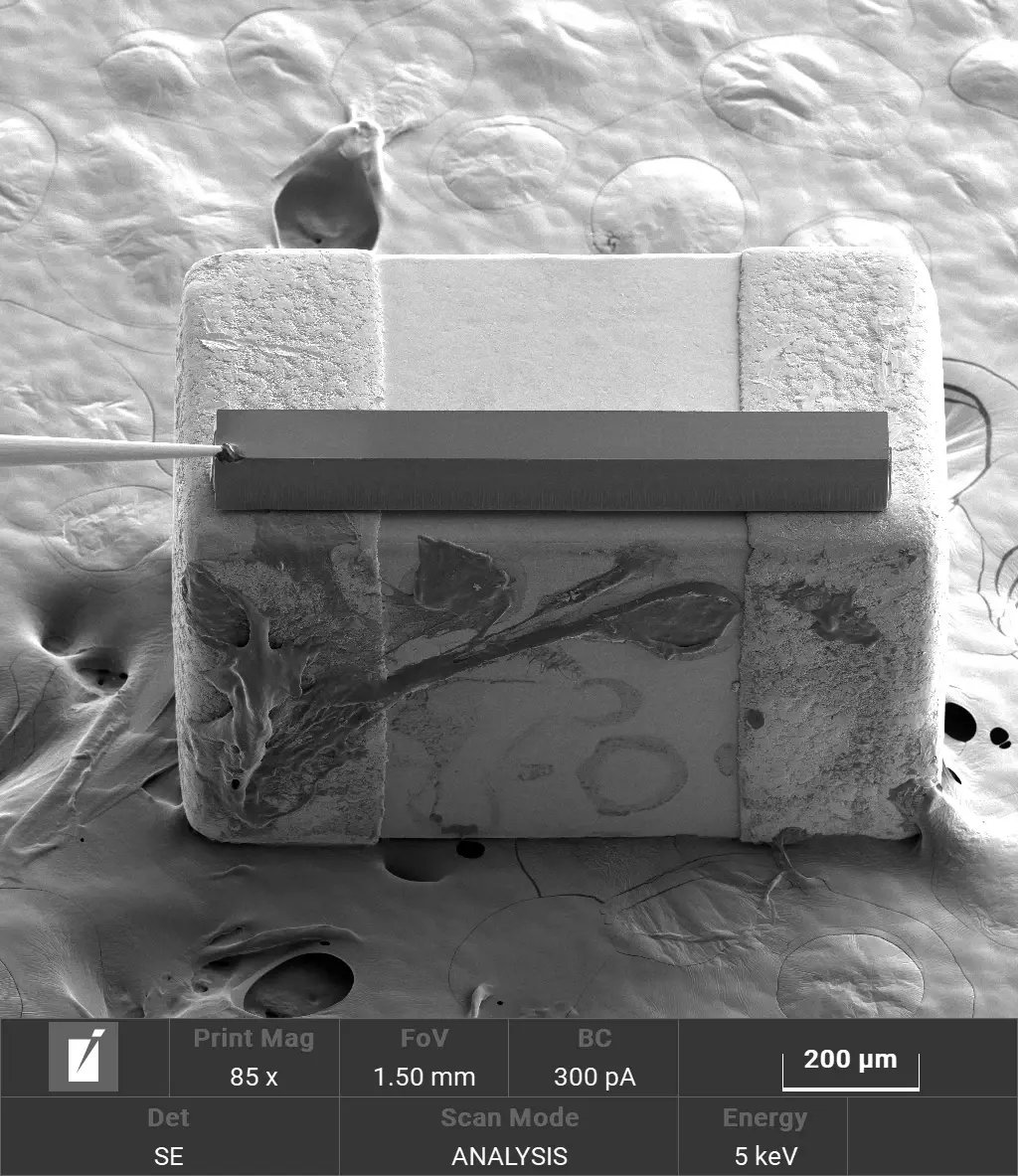 Enable Reliable Wide-Area Cross-Sections with Silicon Masks