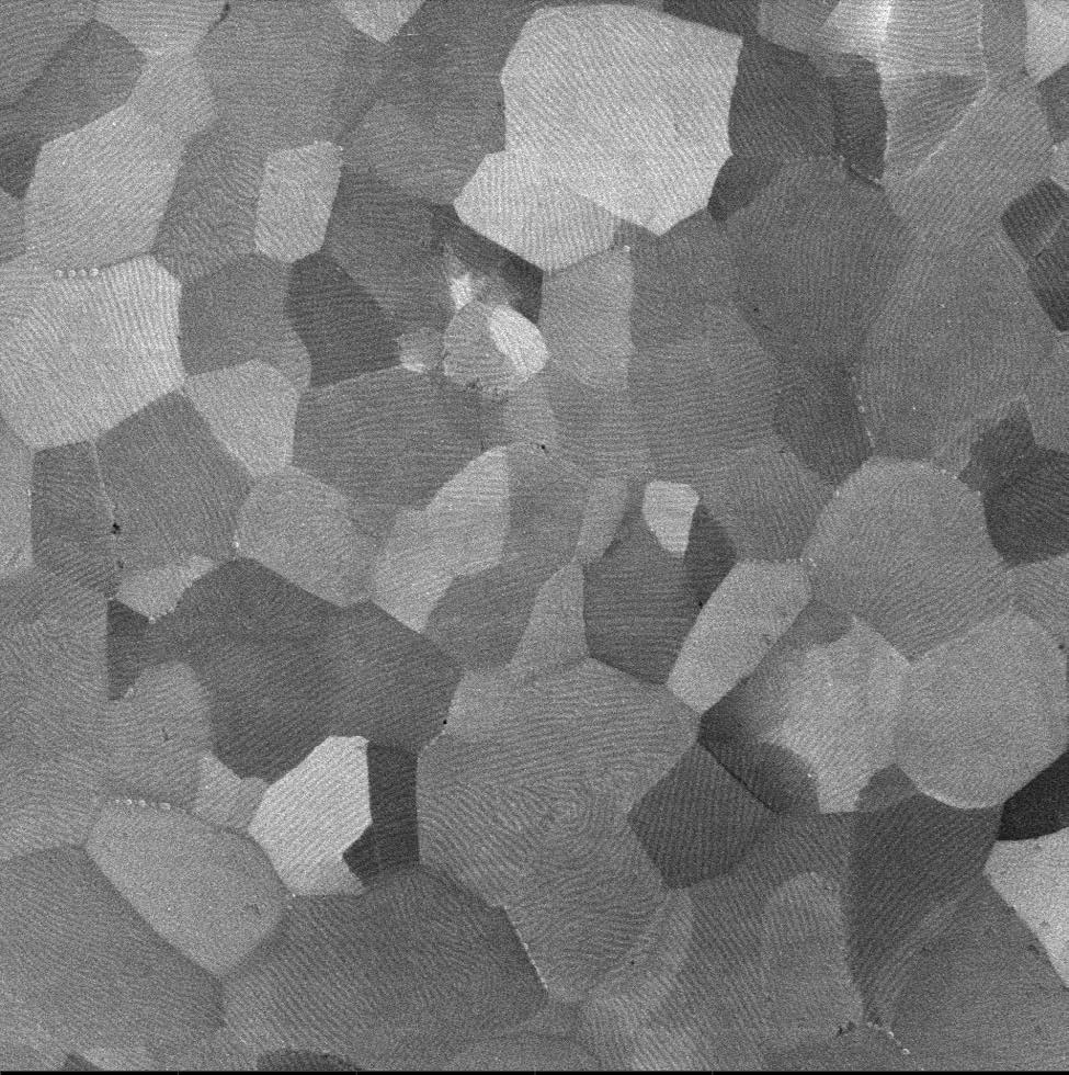 02_Channeling contrast combined with the sample surface topography information of the sample treated by 8 steps of ECAP