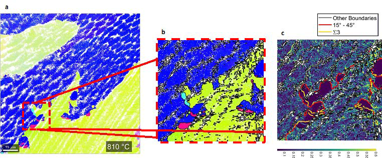 Intermediate phase visualized at 810 °C