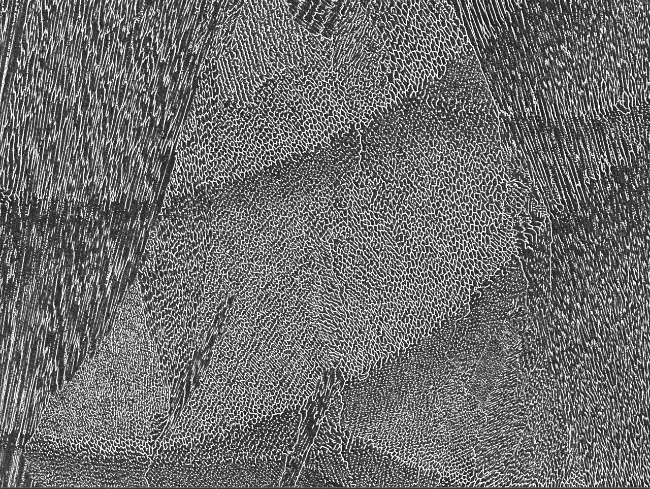02_SEM micrograph of Cu alloy with presence of columnar grains-1-1