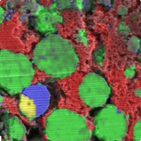 Raman spectroscopy map on SEM image