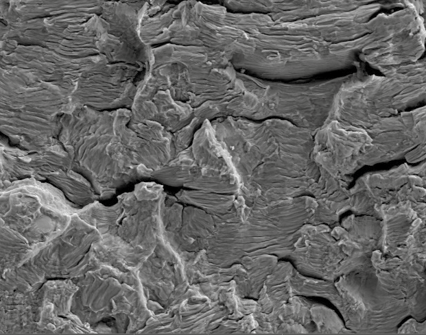 Fatigue Striations Across the Propagation Zone