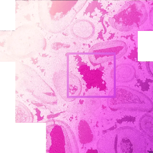 04-Oil and Gas Research-mobile