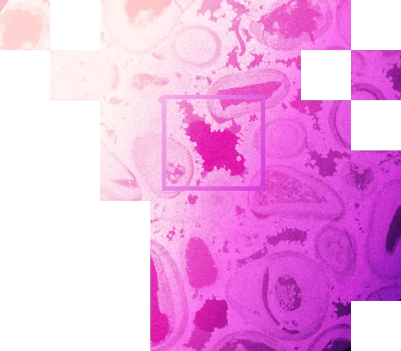 04-Oil and Gas Research