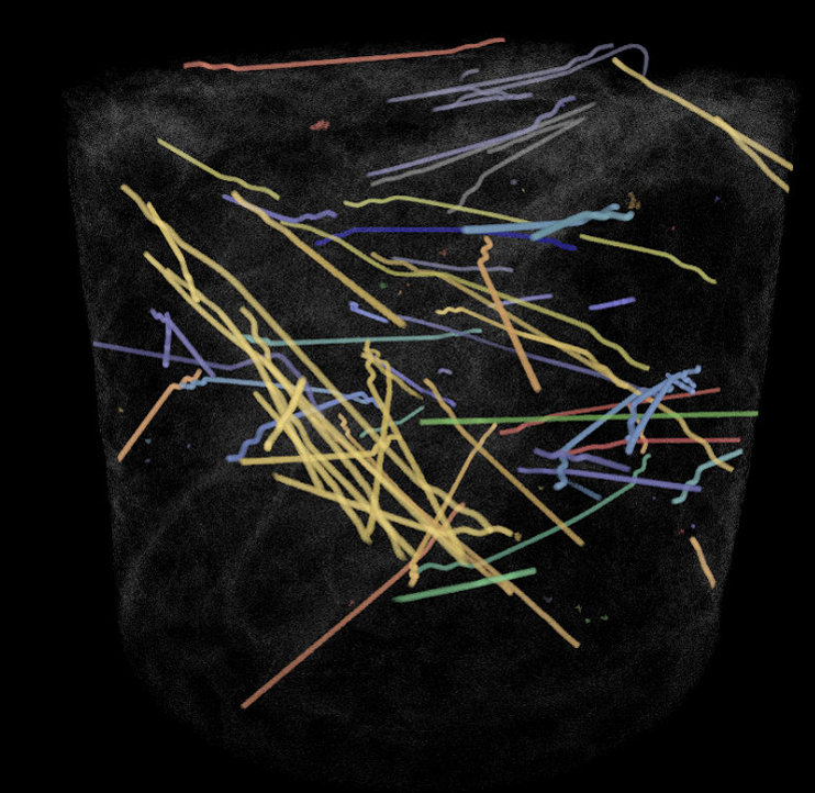 Map Fiber Orientation to Understand Reinforcement Performance