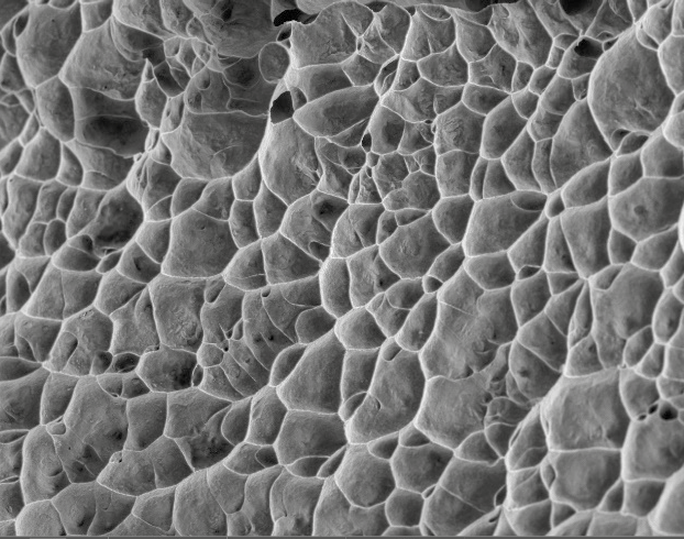 Ductile Dimple Patterns in Final Fracture