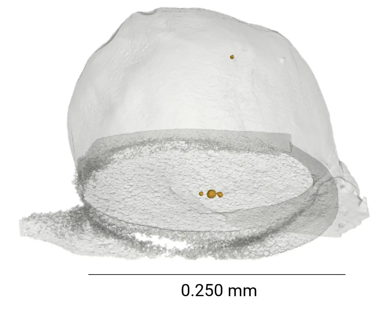 Reveal Hidden Voids in BGA Solder Bumps