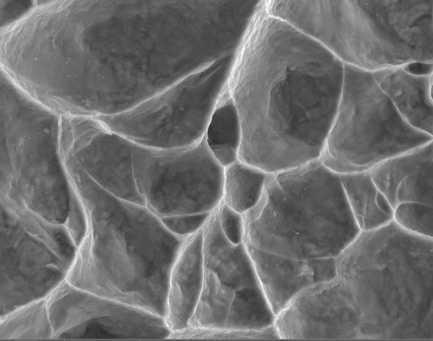 High-Magnification View of Ductile Dimples