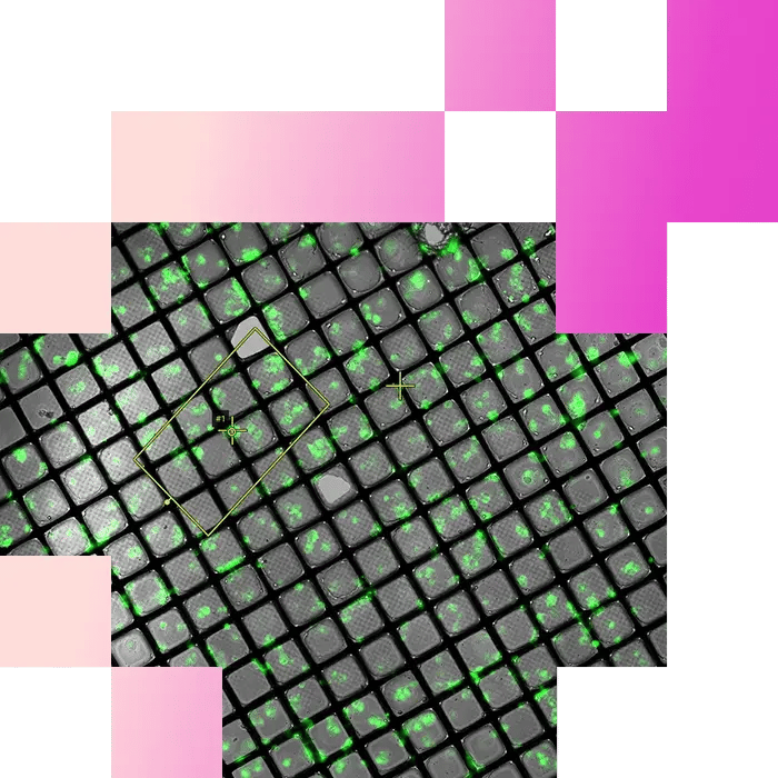 1-1-High-Precision Planar Lamella Preparation for Cryo-ET Using TESCAN Cryo-FIB-SEM