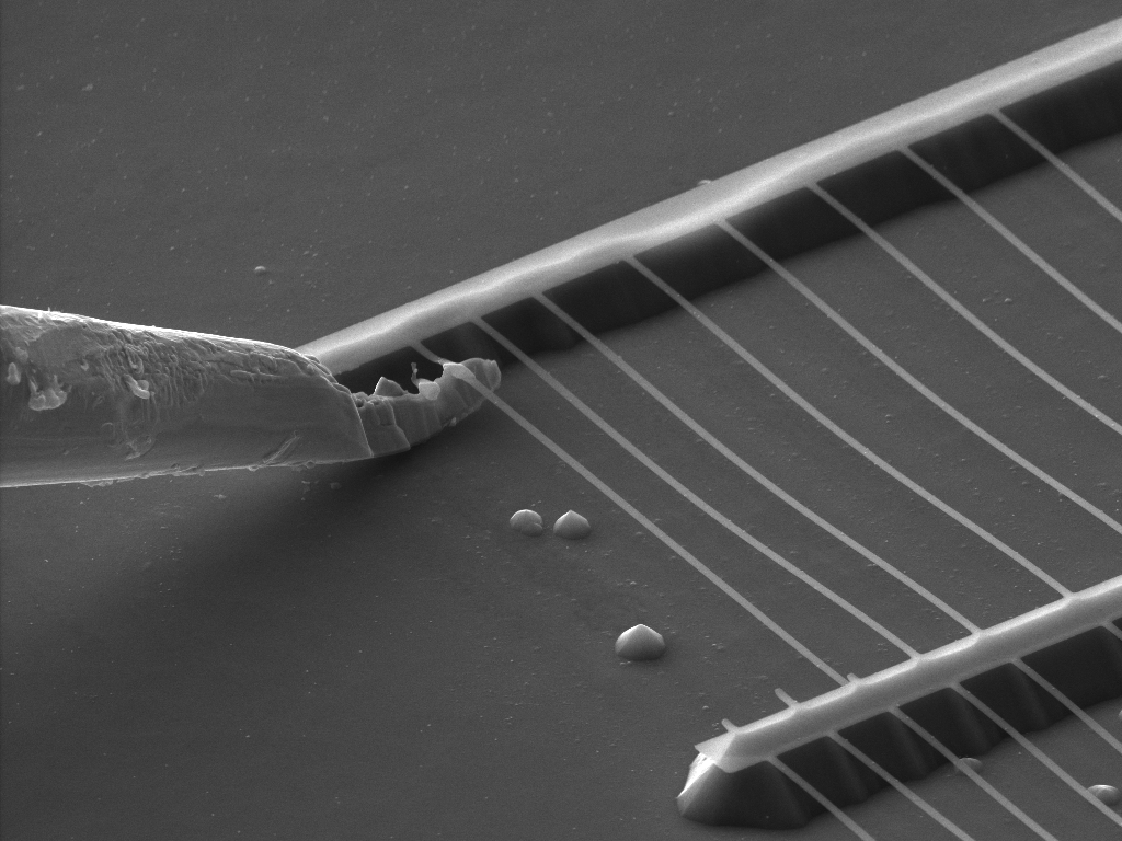 Nanomanipulator needle placed underneath the Silicon Nanowire ready to be cut free and welded to the tip