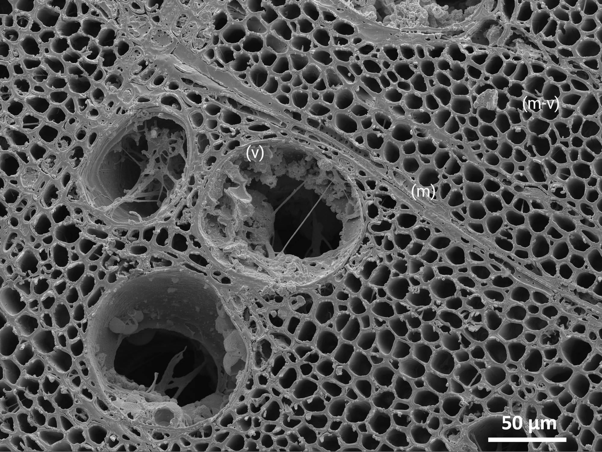 1_-Dec-15-2025-12-48-23-8647-PM