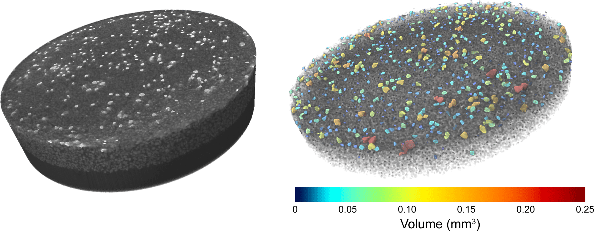 3D scan of grain mount and analysis of dense particles color-coded to size