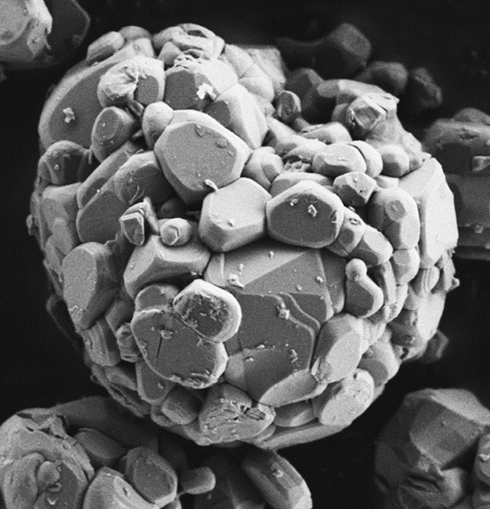 1_SEM examination of LiCoO2 particle properties-1
