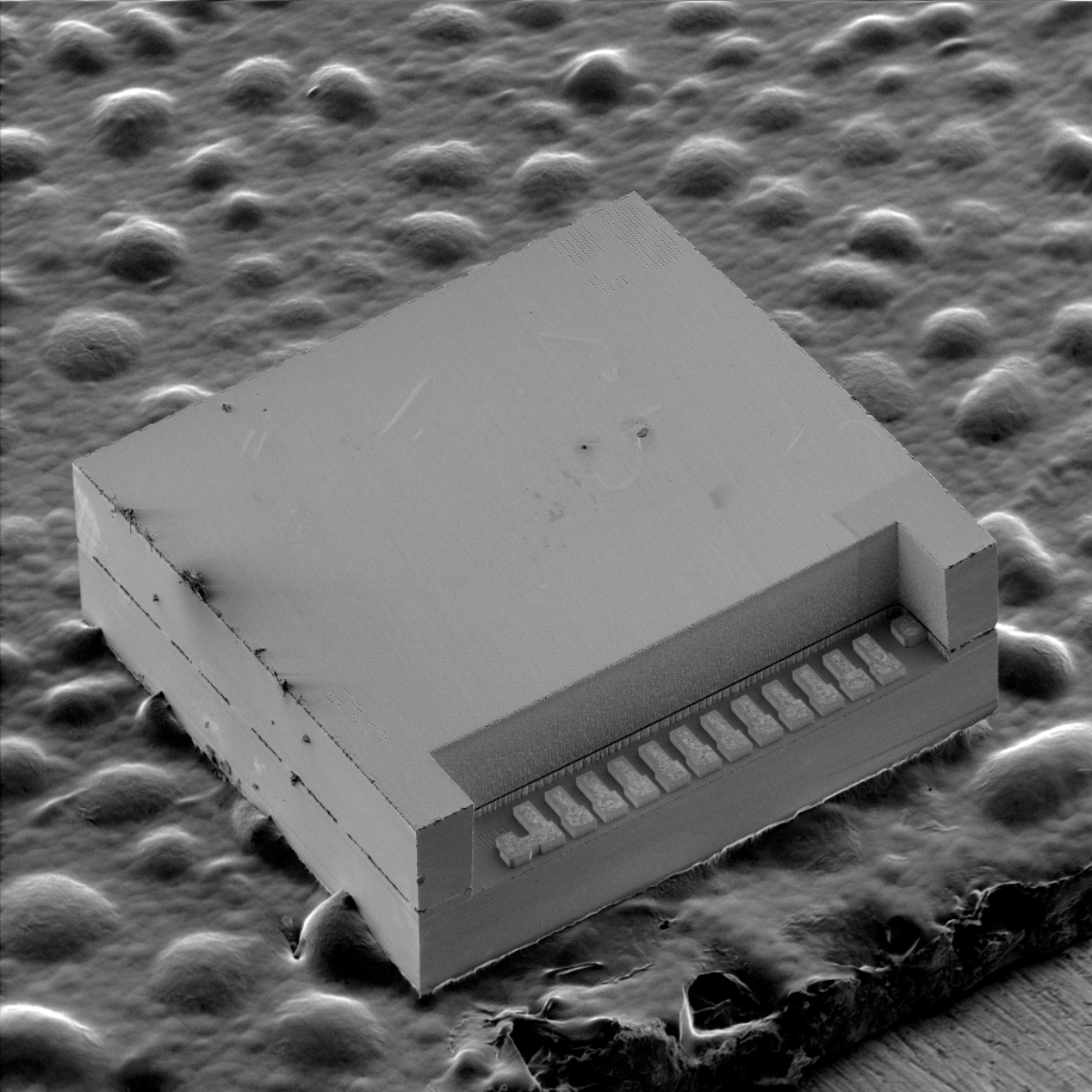 1_SEM image of the MEMS device (1)