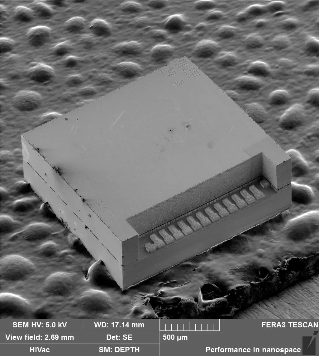 Visualize MEMS Device Structures at Micrometer Scale with SEM Imaging