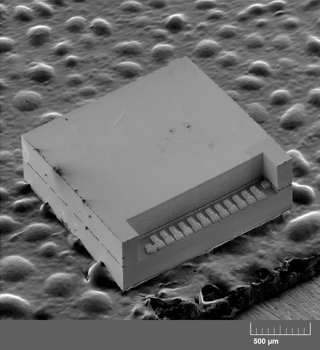 Visualize MEMS Device Structures at Micrometer Scale with SEM Imaging