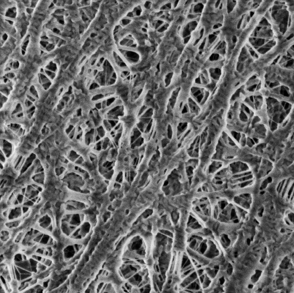 Reveal Nanofiber Networks Without Coating