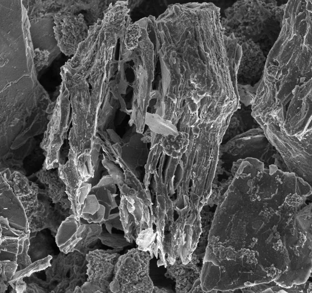 1_Surface examination of exfoliation signs on degraded, cycled graphite anode particles (2)