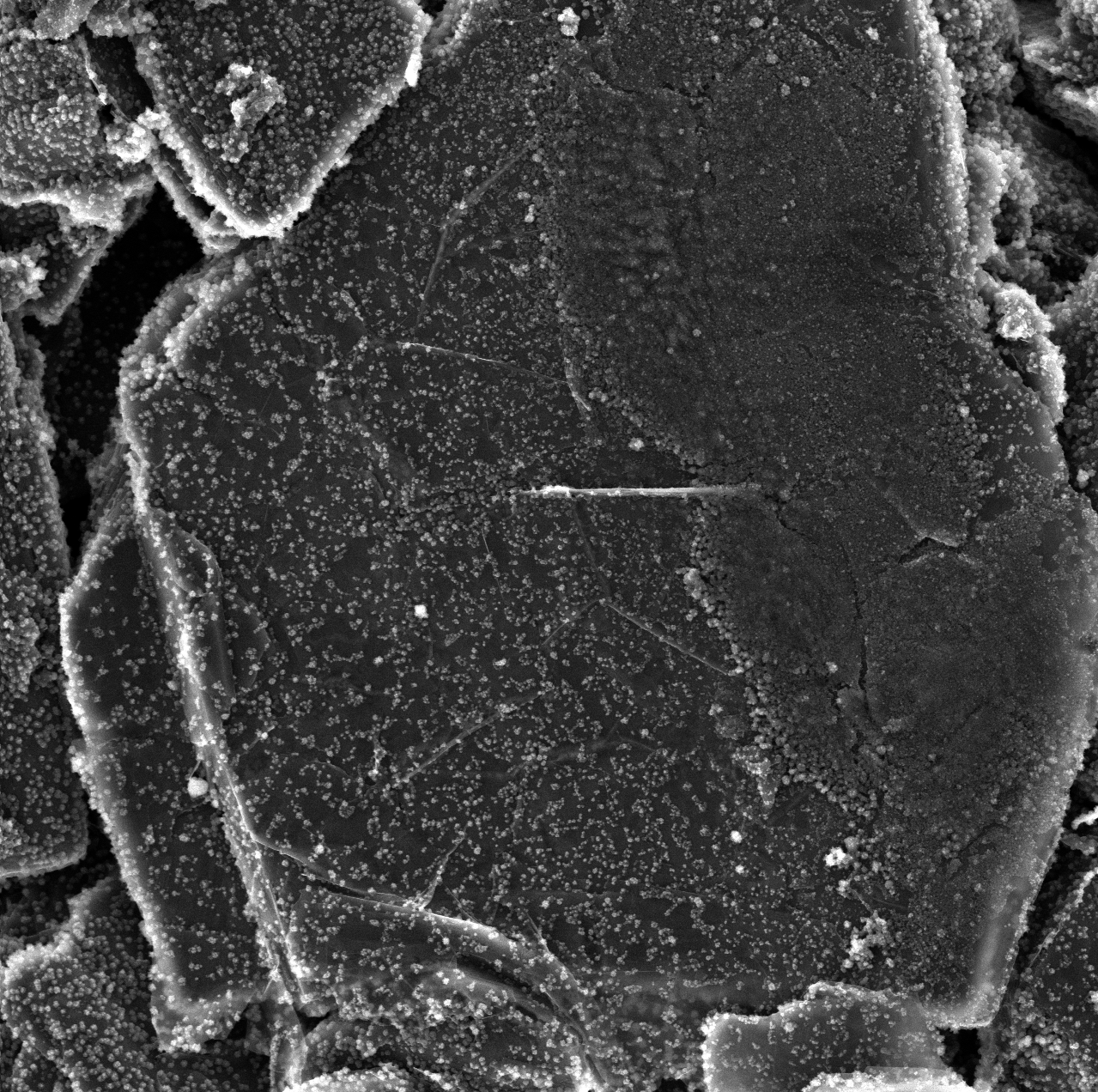 1_Surface morphology of cycled graphite anode observed by SEM (2)