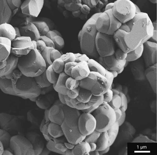 High-resolution SEM imaging of battery active material powders showing particle morphology for R&D and quality analysis