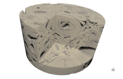 Resolve Rock Microstructure with Submicron Accuracy