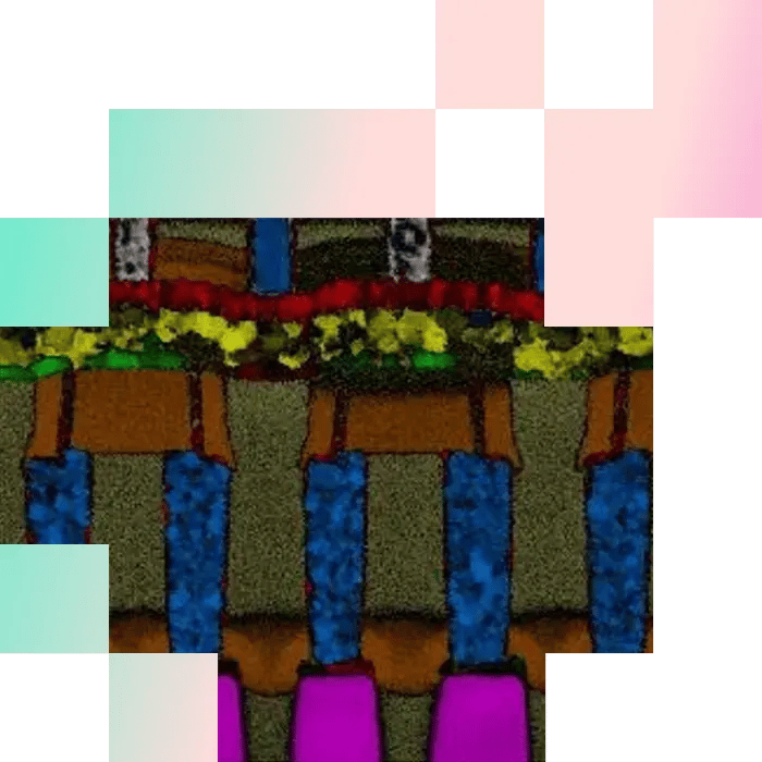 Phase mapping and orientation analysis_TENSOR