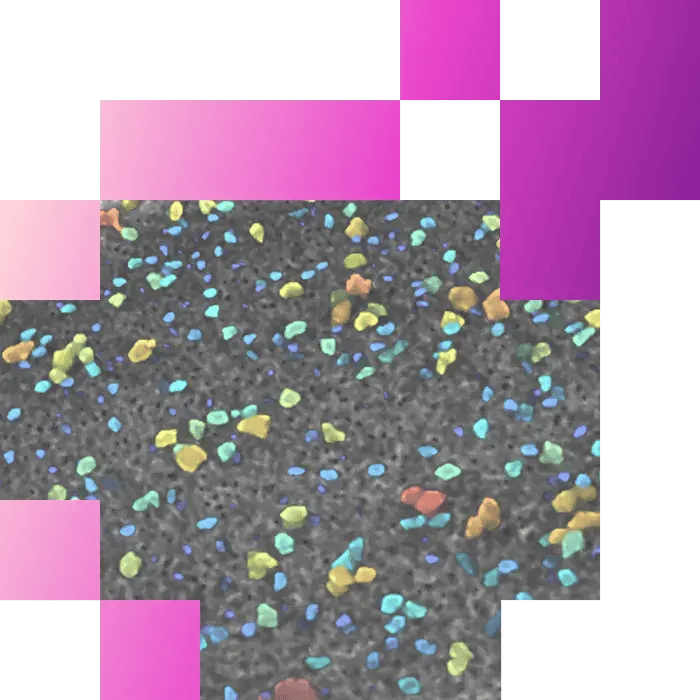 2-2-Non-destructive 3D elemental analysis inside geological samples
