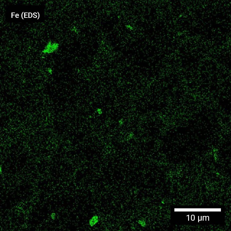 EDS mapping analysis of anode surface metal contaminants