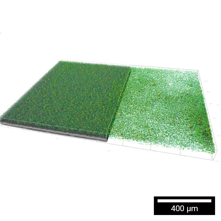 Investigation of graphite anode porosity with micro-CT