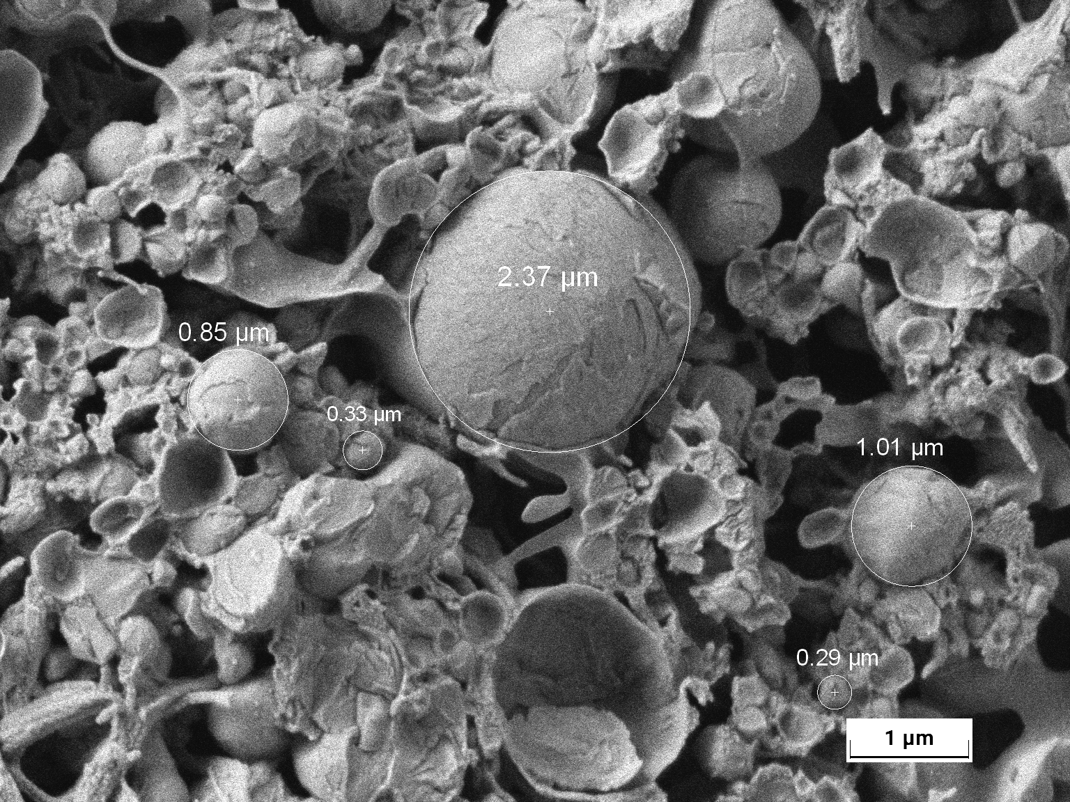 Check Size Distribution with Submicron Precision