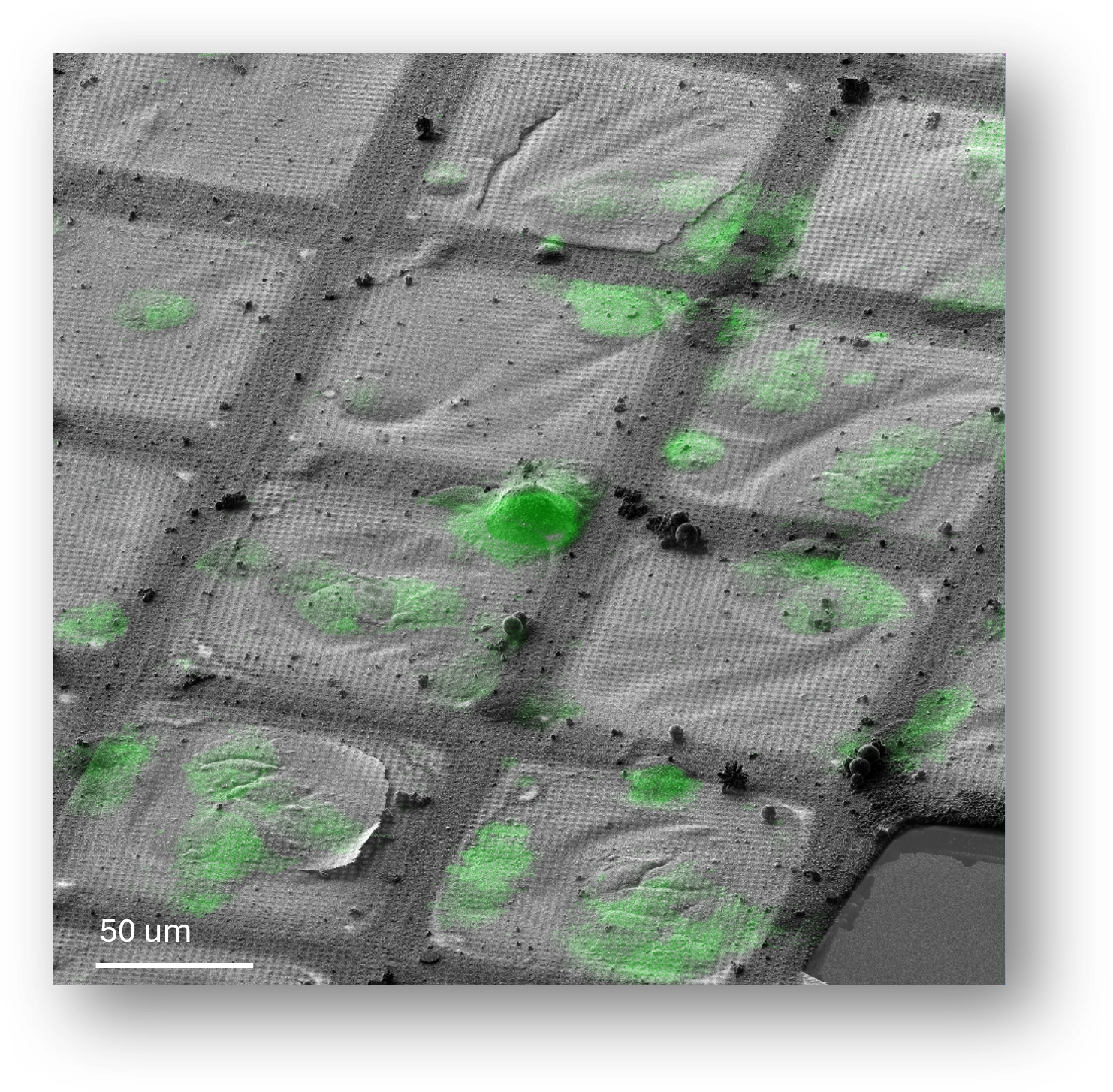 A correlation of SEM