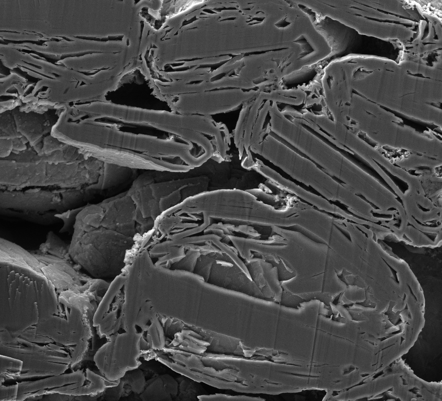 Cross Section of Graphite Anodes