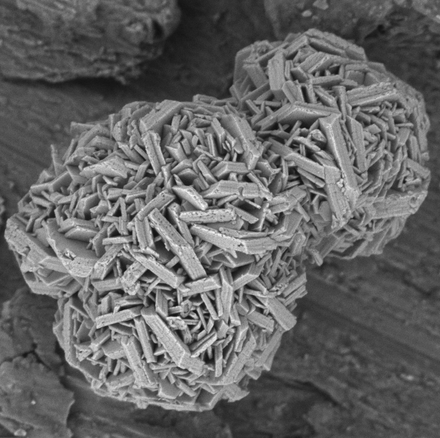 Detailed Imaging of NMC Precursors