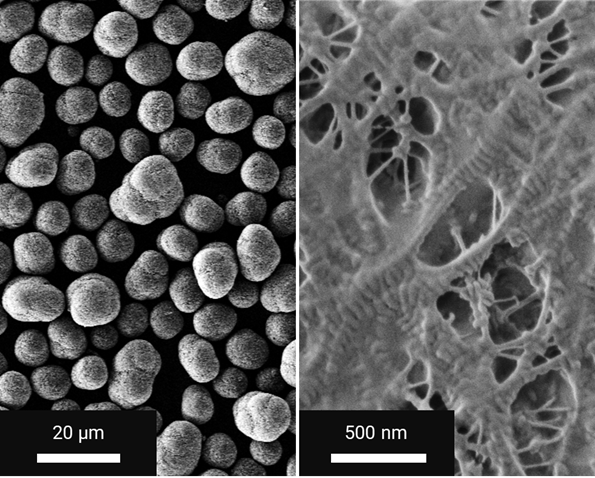Tescan Amber X 2 SEM characterization of battery powders and polymer separators showing particle morphology, pore distribution, and structural integrity.