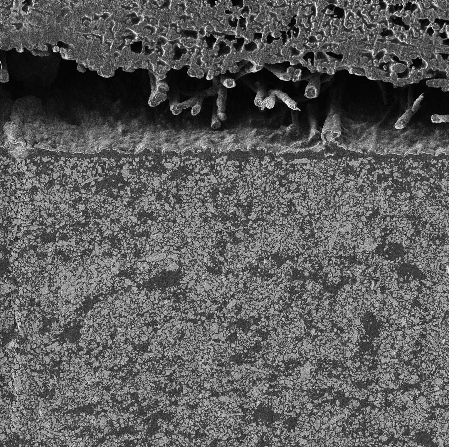 2_Investigation of poor interfacial contact between the solid electrolyte and anode, caused by improper handling-1
