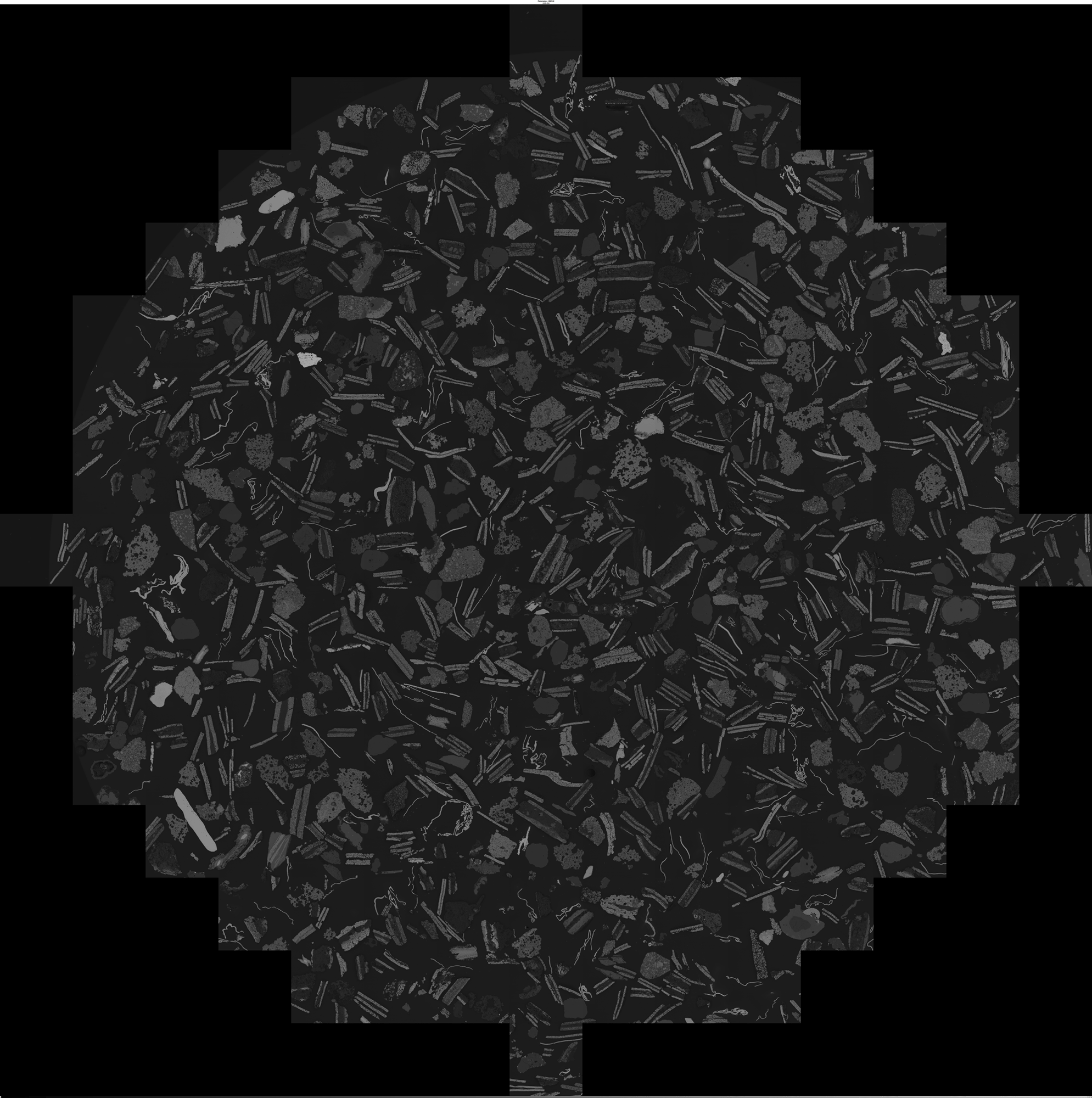 Large-Scale SEM Mosaic Reveals Particle Variability Across Black Mass
