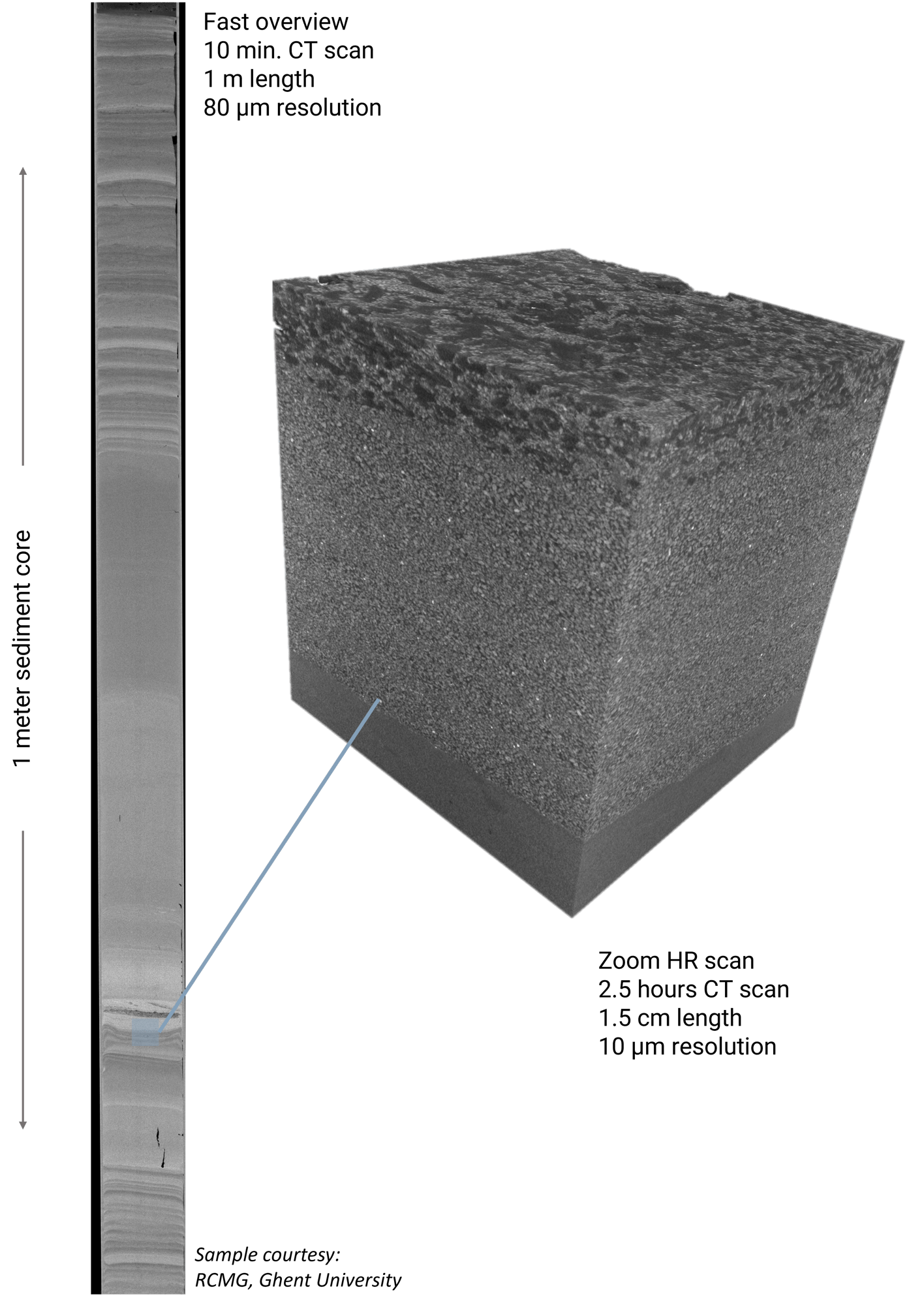 Bridge Core-Scale Imaging with Grain-Level Detail