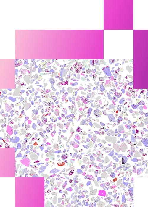 3-2-Metallurgical Ore Textural Analysis Using TESCAN Tima-mobile