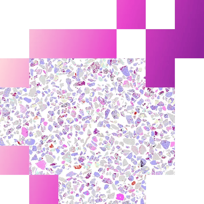 3-2-Metallurgical Ore Textural Analysis Using TESCAN Tima