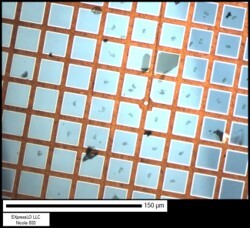 Subset of > 60 EXLO samples manipulated during the M&M 2023 exhibition.