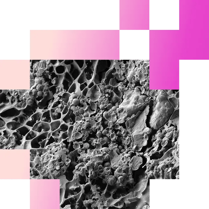 3-4-Microstructural Analysis of Dairy Products