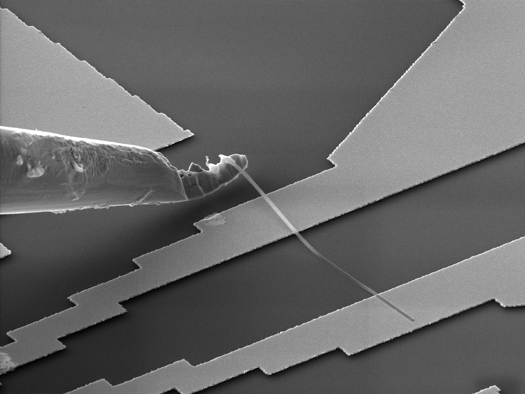 Silicon Nanowire transported to the prepared electrical contacts via the nanomanipulator needle
