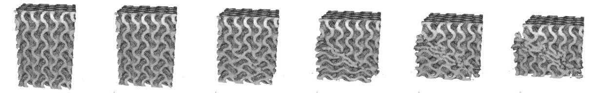 volume rendering of the sample at different time-points during the compression; the volume was virtually cut to reveal the in interior.