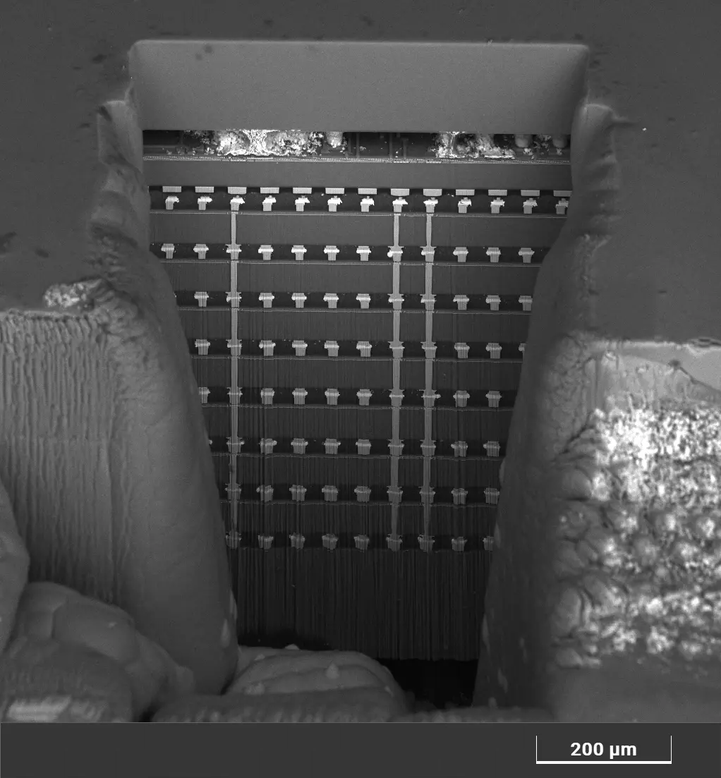 Combine Laser Speed with Plasma FIB Precision for HBM Analysis