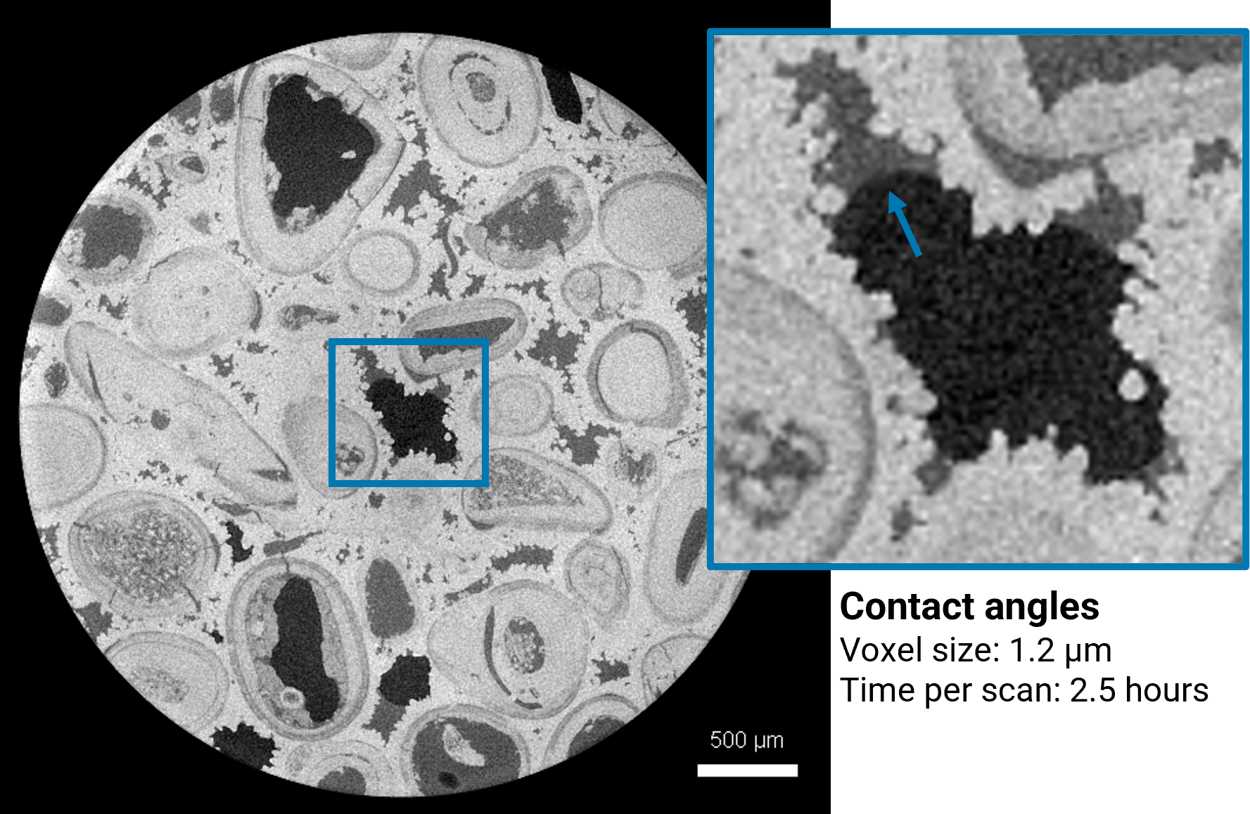Multiphase flow in carbonate sample, volume of interest scan showing contact between brine and gas phase in the pore space