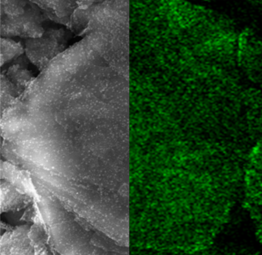 Fluorine Distribution Mapping by Correlative SEM and EDS