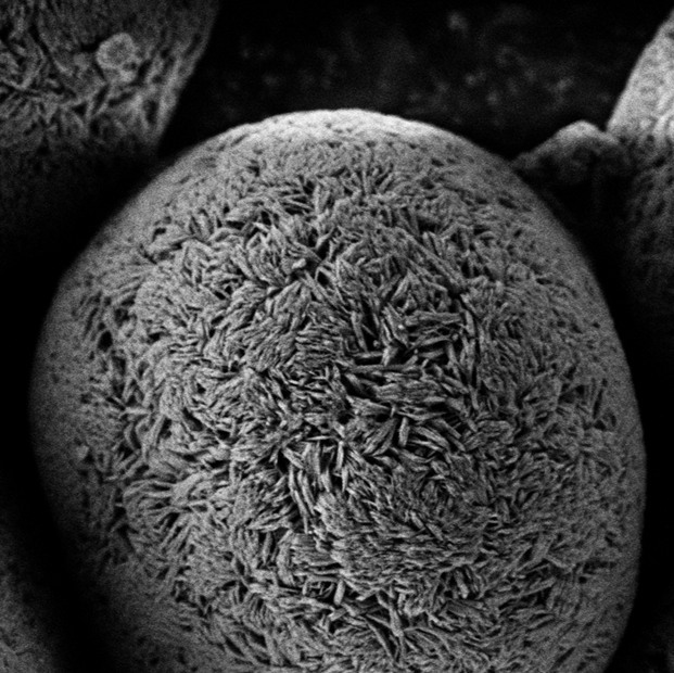 Evaluate Li-Rich Nickel Particle Morphology for Stability Optimization